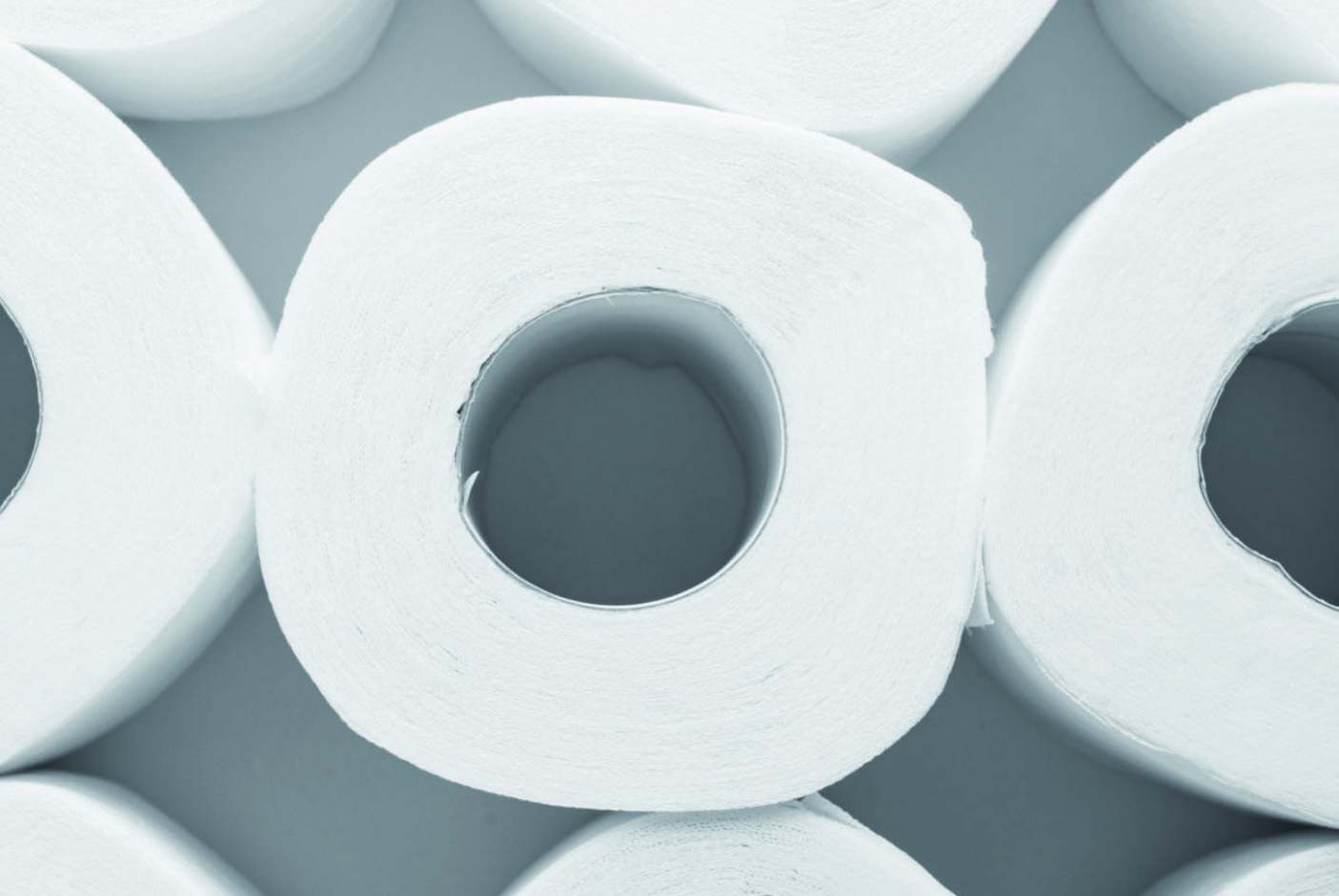 is recycled or bamboo toilet paper better